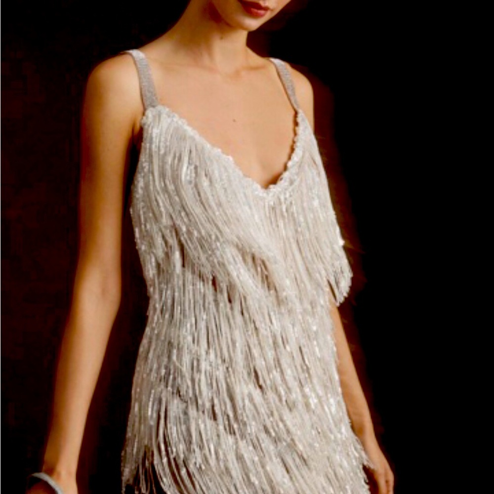 Bronx and Banco Silver Fringe Dress